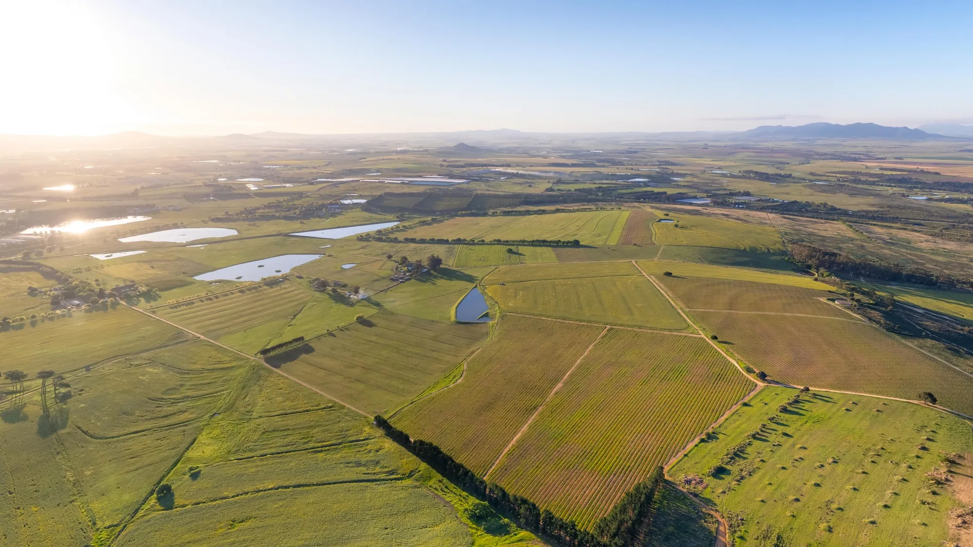 The Bridge Stellenbosch